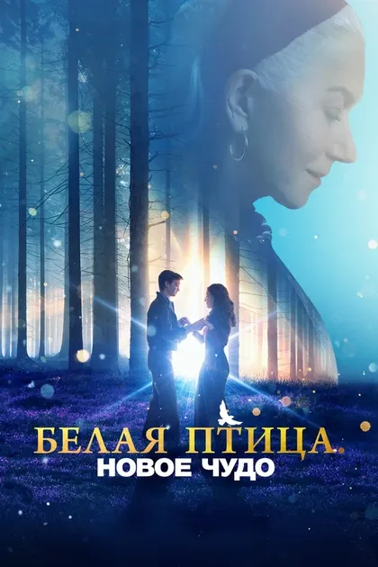 Саймон Местдаг